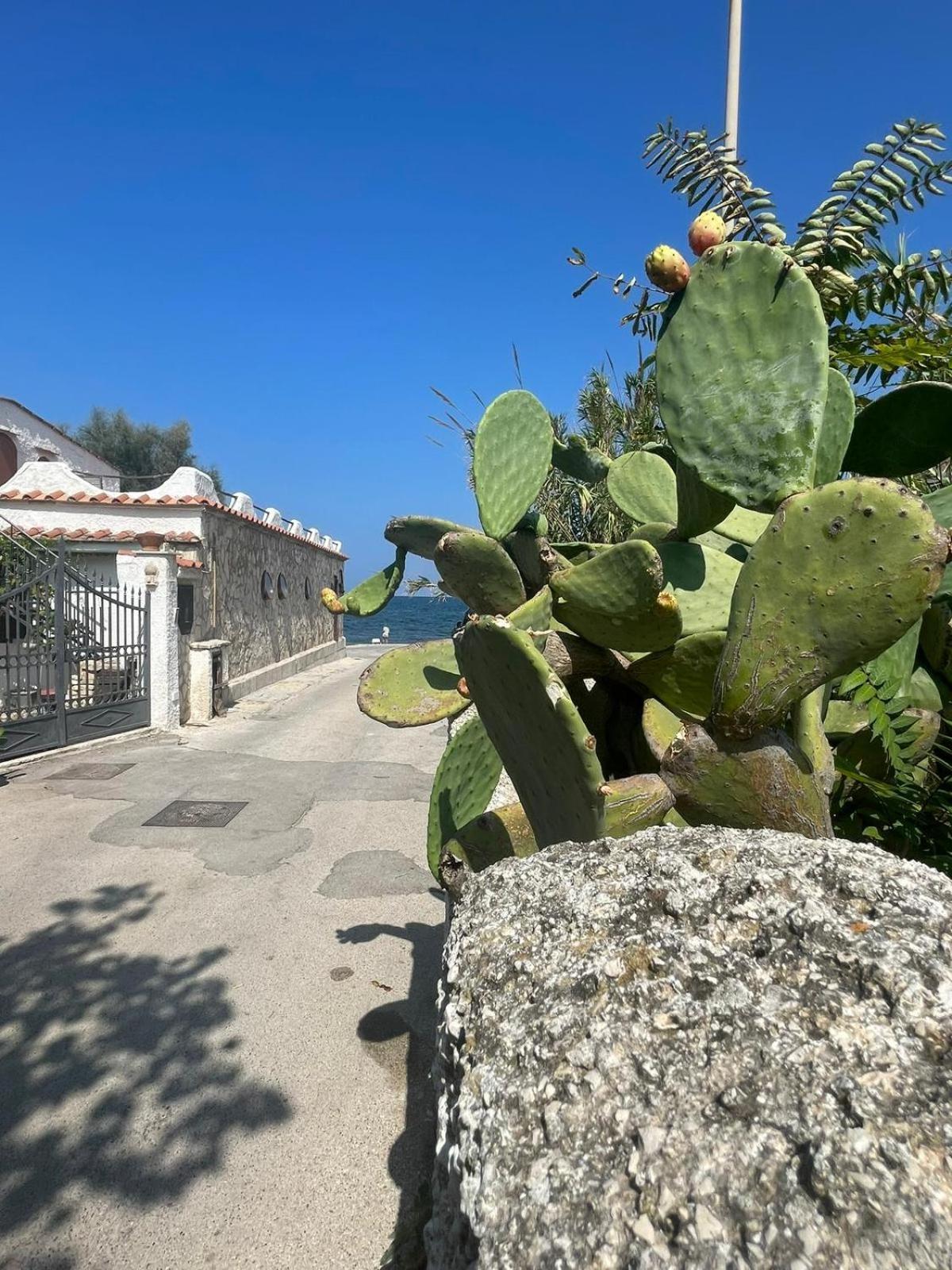 La Villetta Sul Mare 巴里 外观 照片
